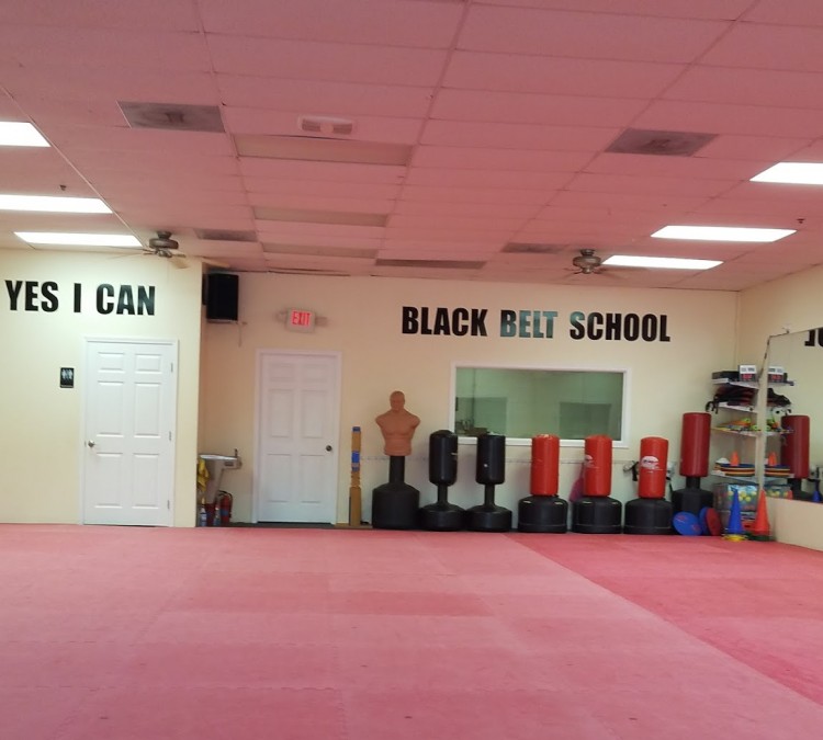 Taekwondo Center (Hampton,&nbspGA)